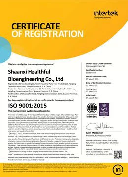 ISO9001