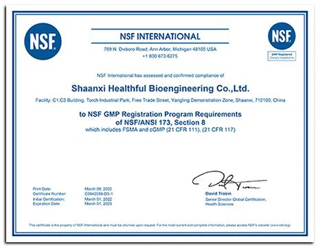 cGMP Certificate (Plant 1)