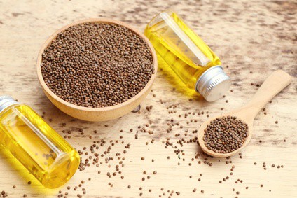 Perilla Seed Oil Perilla Seed Oil
