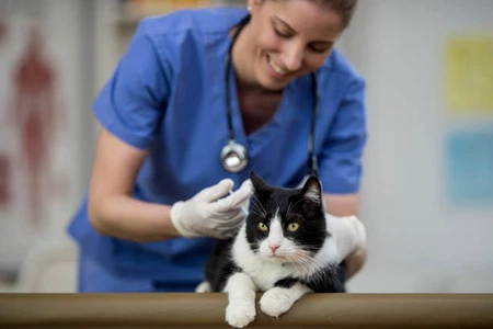 info-612-408 info-612-408