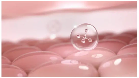 info-565-319 info-565-319