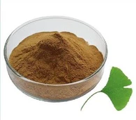 Екстракт от Гинко Билоба на прах