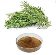 Екстракт от розмарин на прах