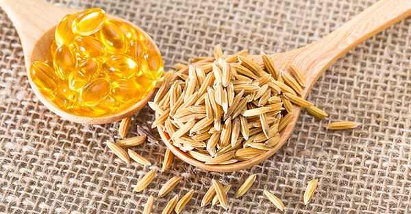 Може ли Gamma Oryzanol за дългосрочна употреба?