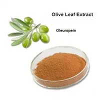Олеуропеин на прах